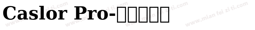 Caslor Pro字体转换
